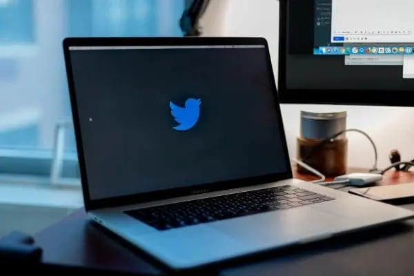 Should You Choose Twitter for Business?